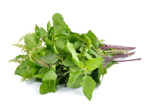 Basil leaves in the ZXCVBNQWERT splash