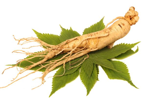 Ginseng root in the ZXCVBNQWERT splash